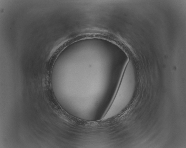 X0000074301352200608250942