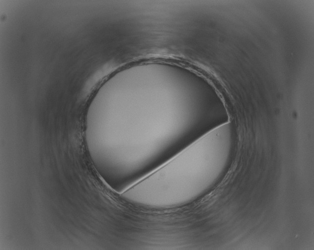 X0000074301359200608250942