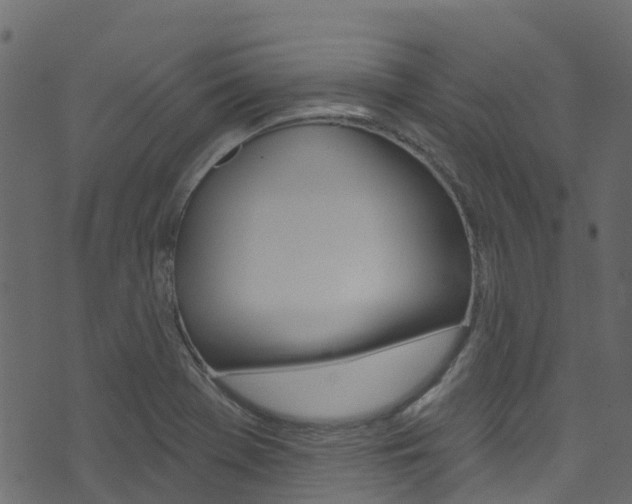 X0000074301369200608250942