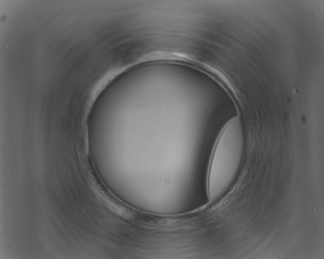 X0000074301371200608250942