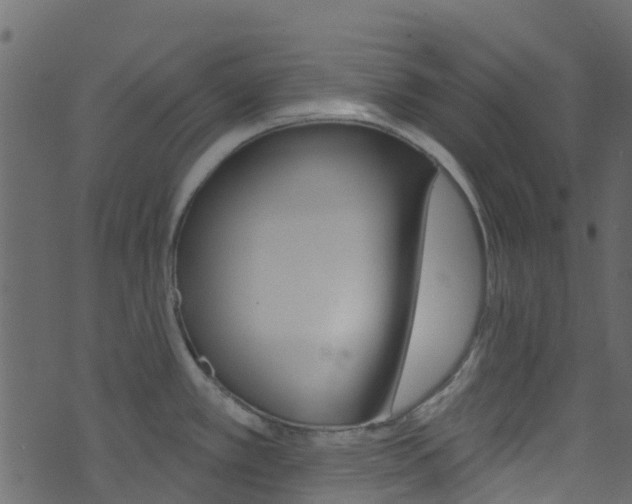 X0000074301389200608250941