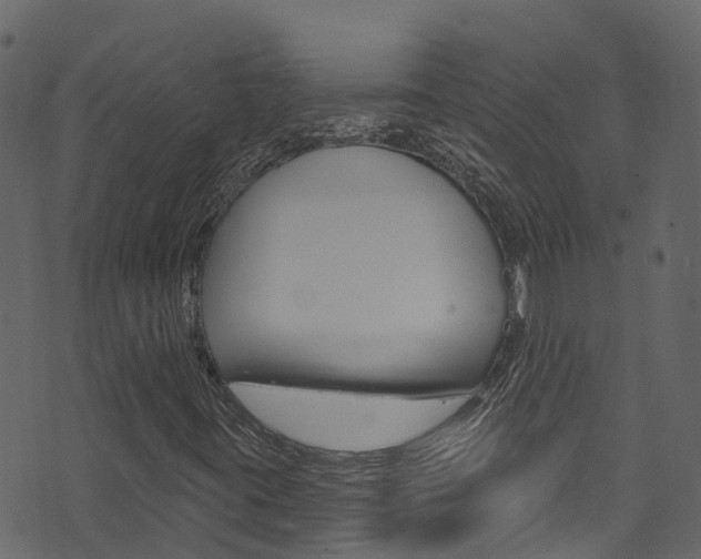 X0000074301395200608250940