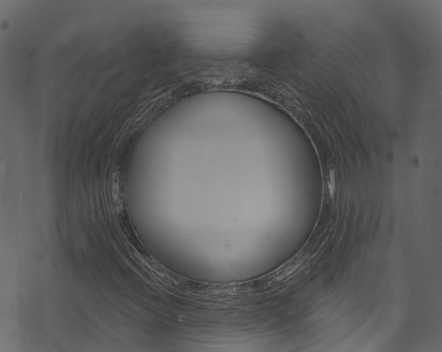 X0000074301396200608250940