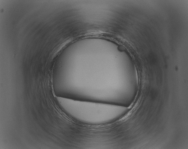 X0000074301401200608250941