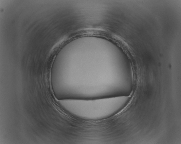X0000074301403200608250941
