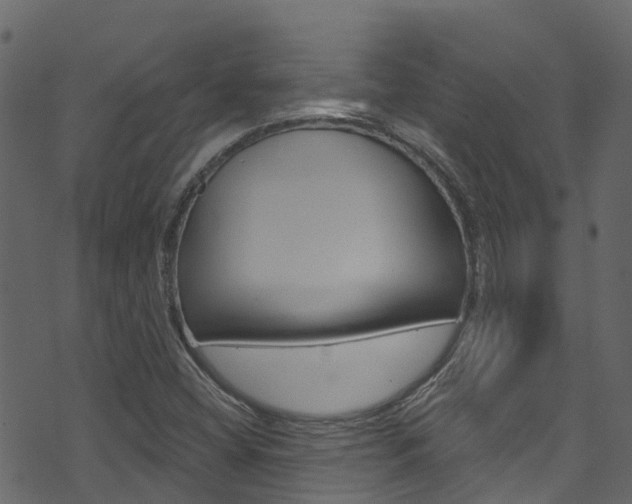 X0000074301404200608250941