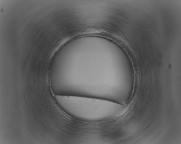 X0000074301409200608250941