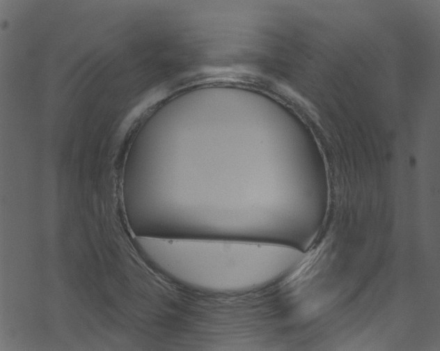 X0000074301411200608250941
