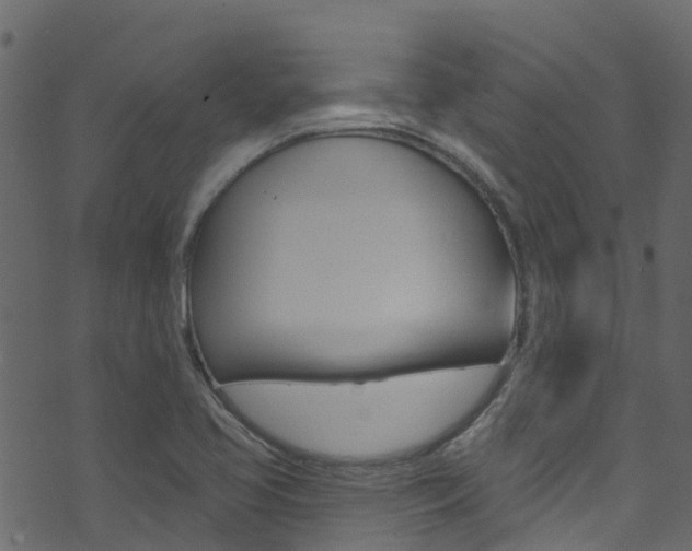 X0000074301413200608250941