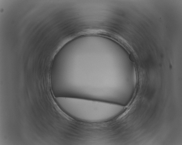 X0000074301417200608250941