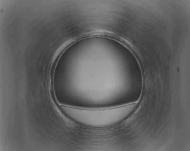 X0000074301418200608250941