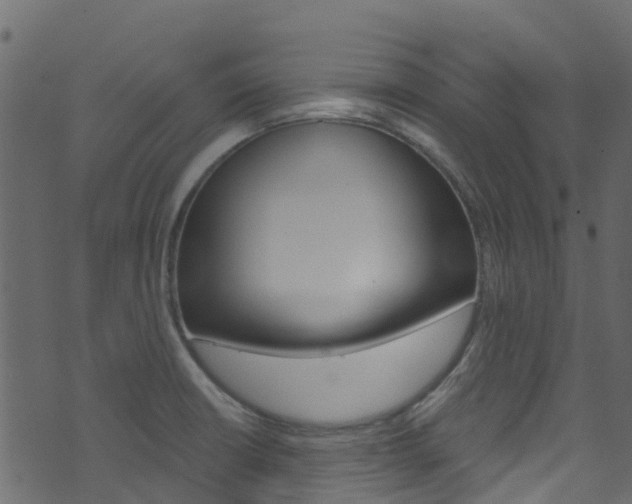X0000074301426200608250941
