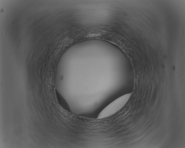 X0000074301441200608250940
