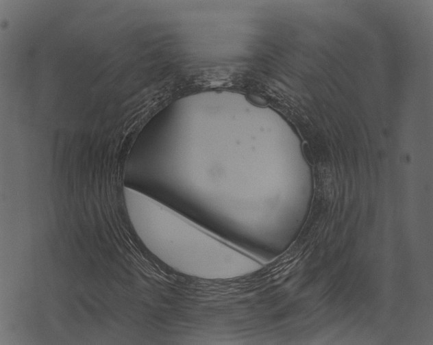 X0000074301442200608250940