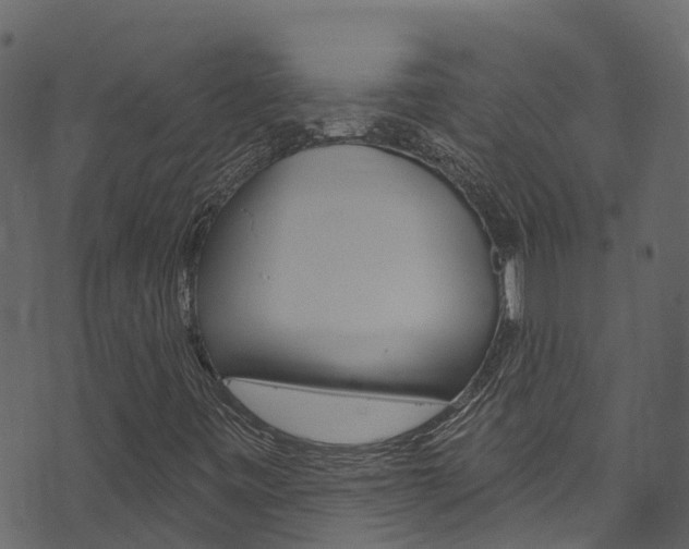 X0000074301443200608250940