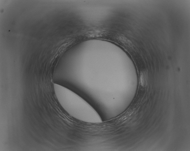 X0000074301444200608250940