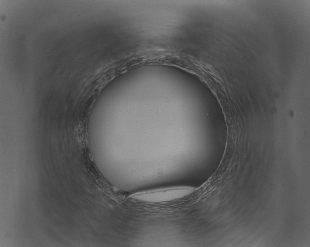 X0000074301445200608250940