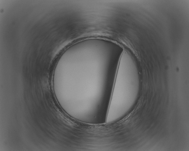 X0000074301452200608250940