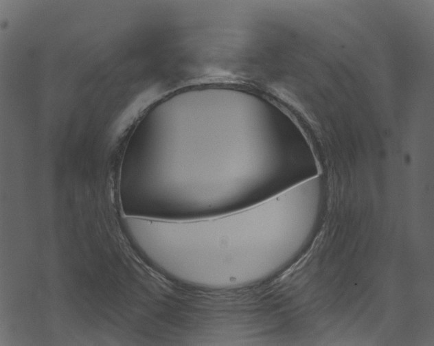 X0000074301455200608250940
