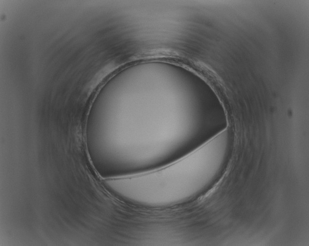 X0000074301457200608250940
