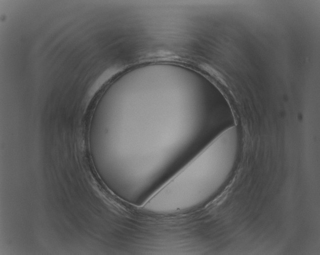 X0000074301458200608250940