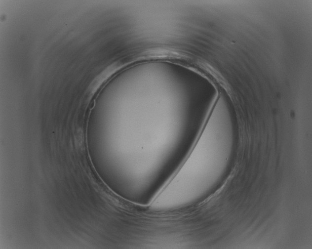 X0000074301465200608250940