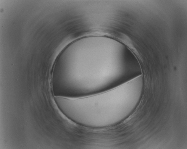 X0000074301484200608250940