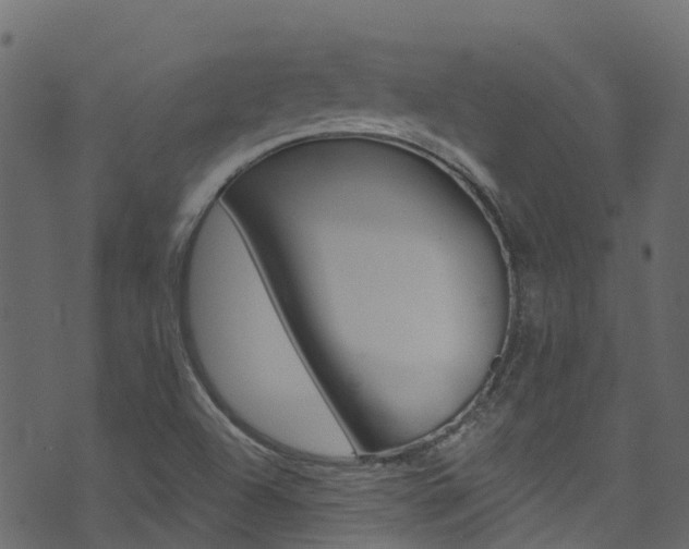 X0000074301504200608250939