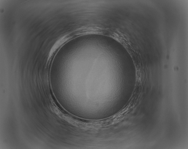 X0000074300004200608251222