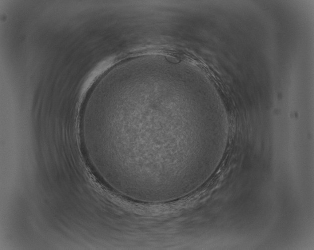 X0000074300006200608251222