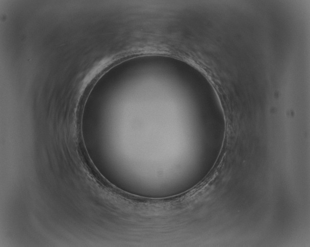 X0000074300008200608251222