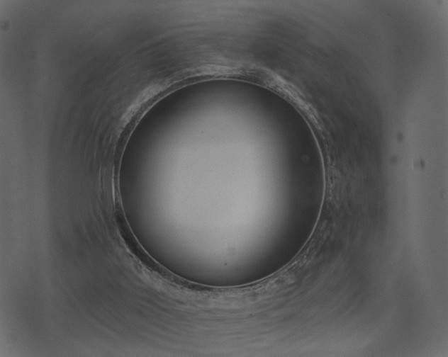 X0000074300011200608251222