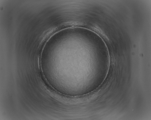X0000074300014200608251222