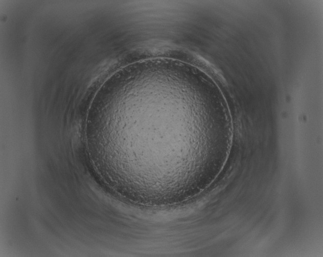 X0000074300018200608251222
