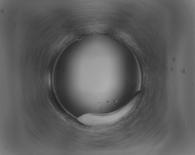 X0000074300021200608251222