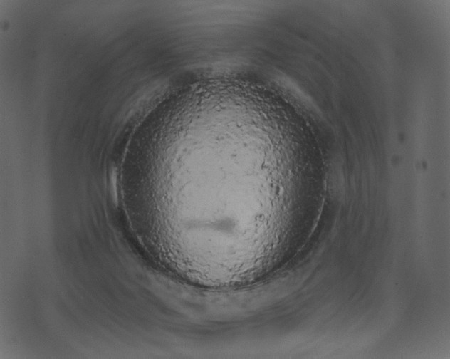 X0000074300022200608251222