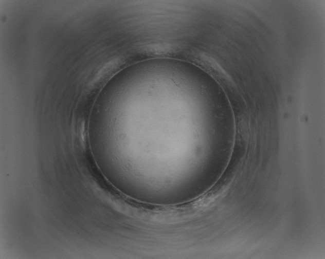 X0000074300024200608251222