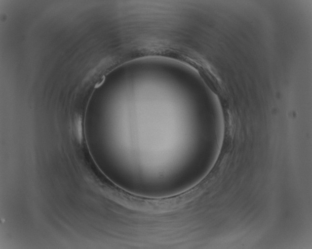 X0000074300027200608251222