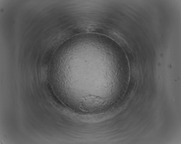 X0000074300030200608251221
