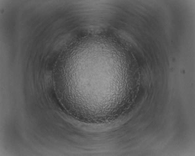 X0000074300034200608251221