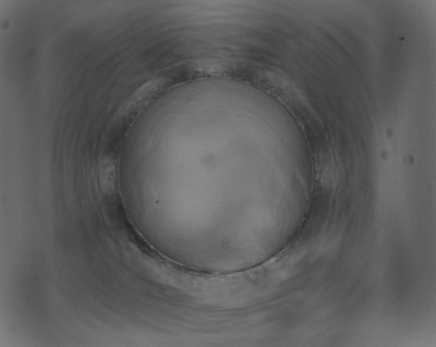 X0000074300036200608251221
