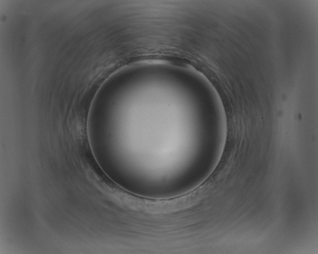 X0000074300039200608251221