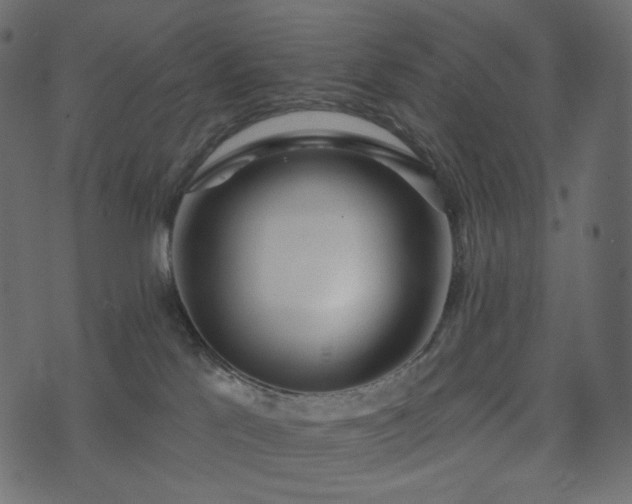 X0000074300041200608251221