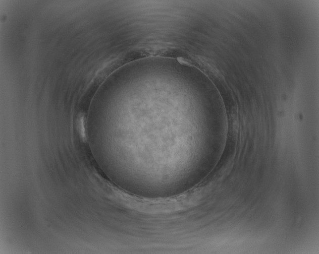 X0000074300042200608251221
