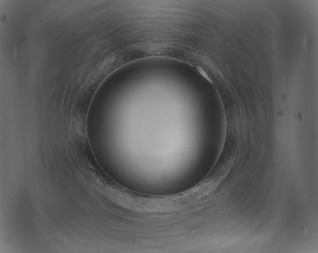 X0000074300044200608251221