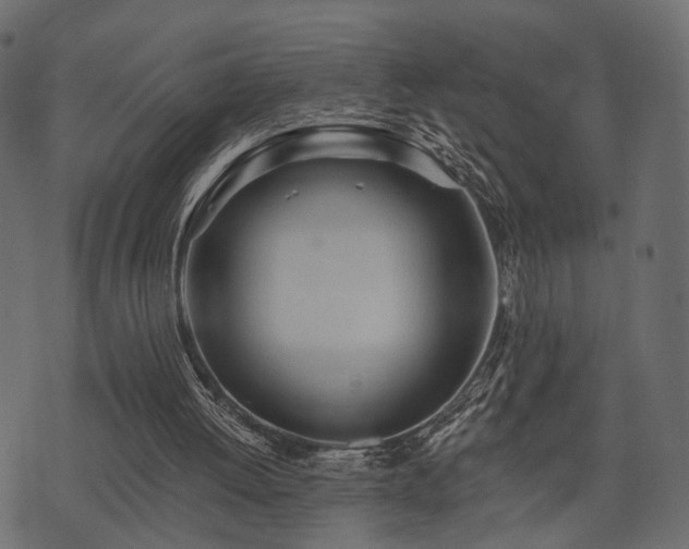 X0000074300052200608251220