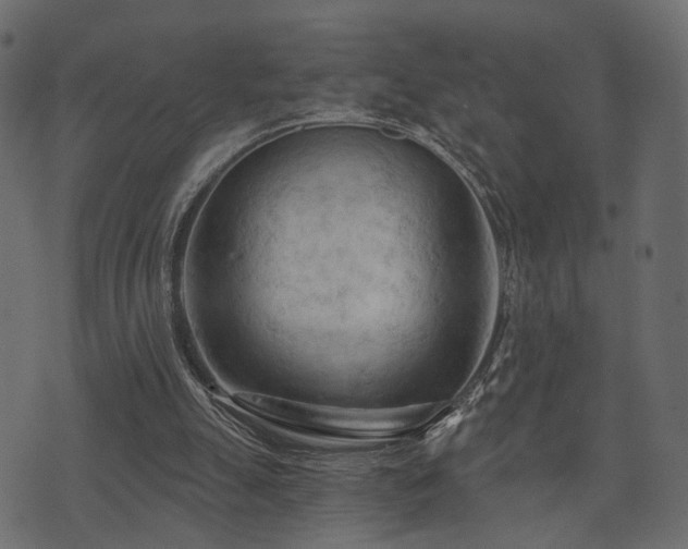 X0000074300055200608251221