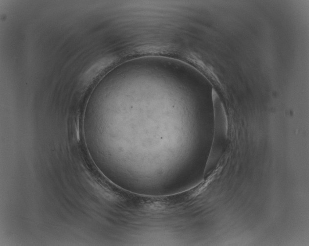 X0000074300062200608251221