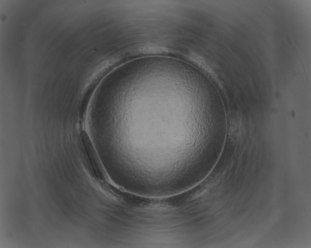 X0000074300063200608251221