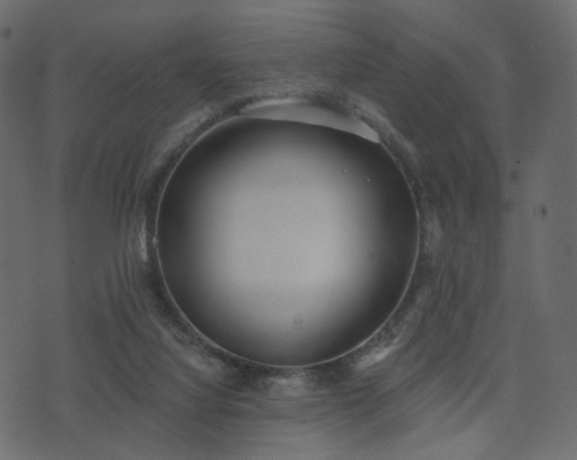 X0000074300068200608251221